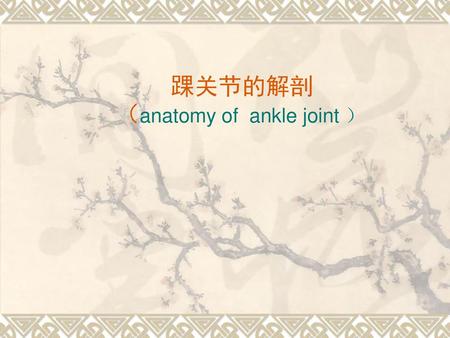 踝关节的解剖 （anatomy of ankle joint ）