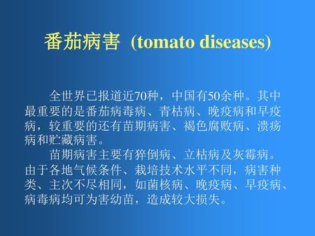 番茄病害 (tomato diseases)