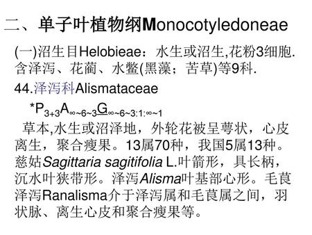 二、单子叶植物纲Monocotyledoneae