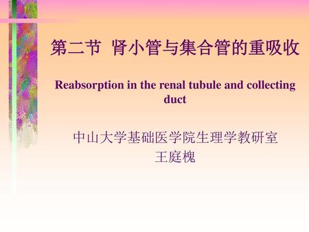 第二节 肾小管与集合管的重吸收 Reabsorption in the renal tubule and collecting duct