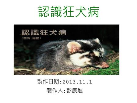 認識狂犬病 製作日期:2013.11.1 製作人:彭康進.