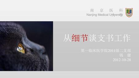 从细节谈支书工作 南 京 医 科 大 学 第一临床医学院2011级二支部 钱 健