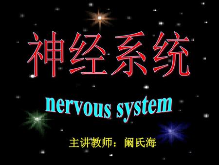 神经系统 nervous system 主讲教师：阚氏海.