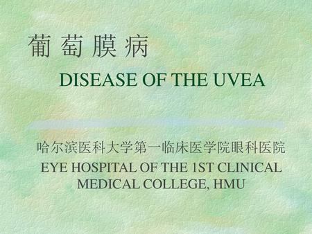 葡 萄 膜 病 DISEASE OF THE UVEA