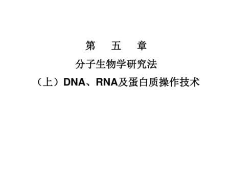 第 五 章 分子生物学研究法 （上）DNA、RNA及蛋白质操作技术.