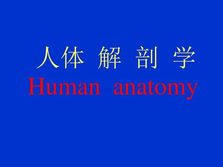 人体 解 剖 学 Human anatomy.