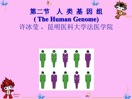 第二节 人 类 基 因 组 ( The Human Genome) 许冰莹 ，昆明医科大学法医学院