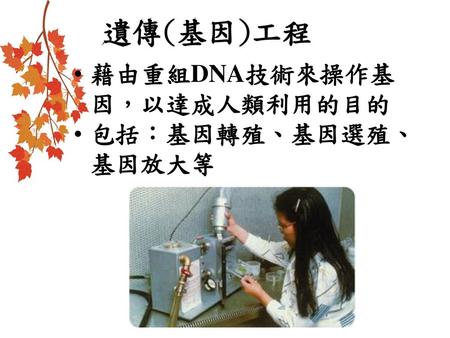 遺傳(基因)工程 藉由重組DNA技術來操作基因，以達成人類利用的目的 包括：基因轉殖、基因選殖、基因放大等.