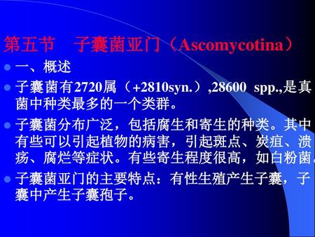 第五节 子囊菌亚门（Ascomycotina）