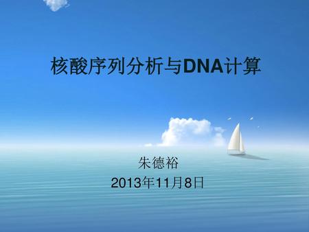 核酸序列分析与DNA计算 朱德裕 2013年11月8日.