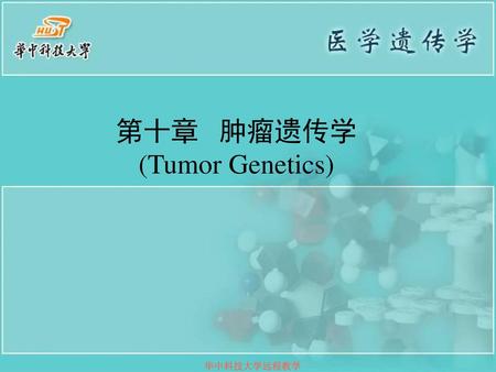 第十章 肿瘤遗传学 (Tumor Genetics)