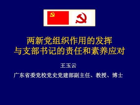 两新党组织作用的发挥 与支部书记的责任和素养应对