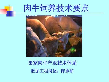 肉牛饲养技术要点 国家肉牛产业技术体系 胚胎工程岗位：陈承祯.