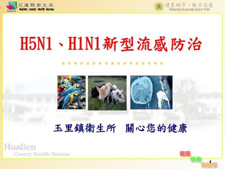 H5N1、H1N1新型流感防治 玉里鎮衛生所 關心您的健康.