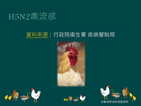 H5N2禽流感 資料來源：行政院衛生署 疾病管制局 自動換頁或按滑鼠換頁.