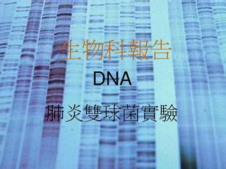 生物科報告 DNA 肺炎雙球菌實驗.