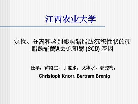 定位、分离和鉴别影响猪脂肪沉积性状的硬脂酰辅酶A去饱和酶 (SCD) 基因 Christoph Knorr, Bertram Brenig