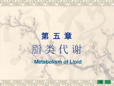 第 五 章 脂 类 代 谢 Metabolism of Lipid.