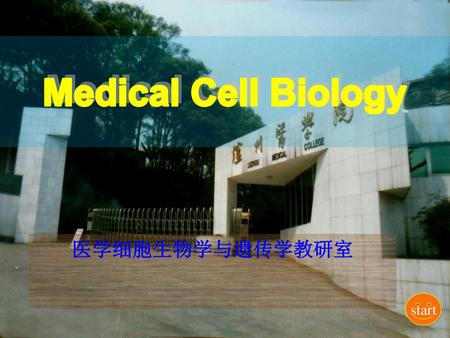 Medical Cell Biology 医学细胞生物学与遗传学教研室 start.