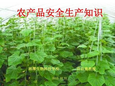 农产品安全生产知识 湘潭生物科技学校 许启德教授 2012.10.31.