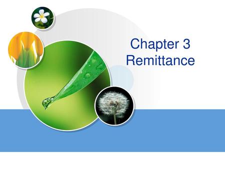 Chapter 3 Remittance.