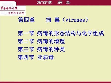 第四章 病 毒（viruses） 第一节 病毒的形态结构与化学组成 第二节 病毒的增殖 第三节 病毒的种类 第四节 亚病毒.