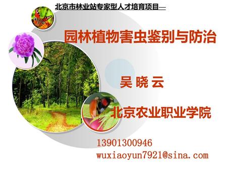 园林植物害虫鉴别与防治 吴 晓 云 北京农业职业学院