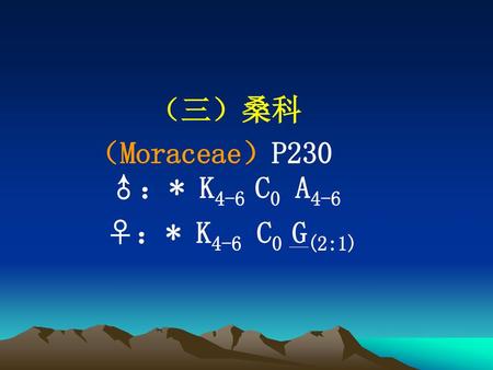 （三）桑科 （Moraceae）P230 ♂：* K4-6 C0 A4-6  ♀：* K4-6 C0 G(2:1)