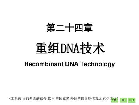 重组DNA技术 Recombinant DNA Technology