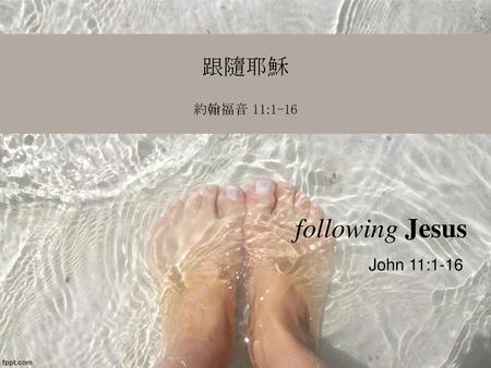 跟隨耶穌 約翰福音 11:1-16 following Jesus John 11:1-16.