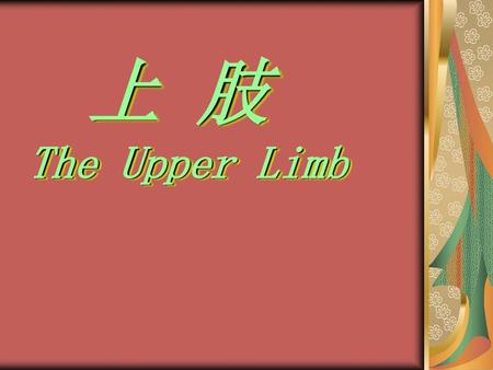 标题 上 肢 The Upper Limb.
