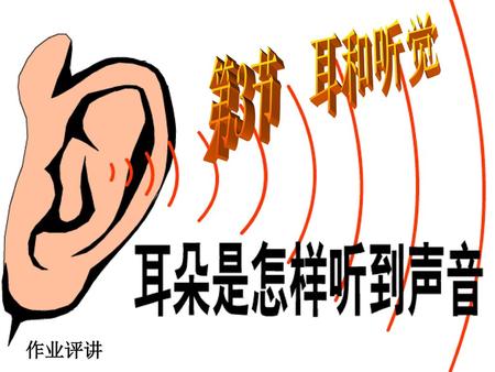 耳的结构与听觉的形成 第3节 耳和听觉 作业评讲.