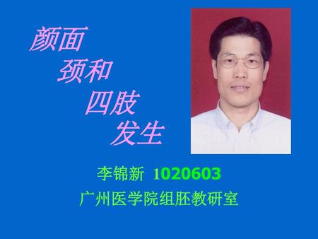 颜面 颈和 四肢 发生 李锦新 1020603 广州医学院组胚教研室.
