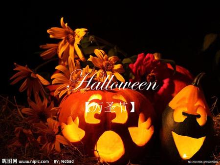 Halloween 【万圣节】.