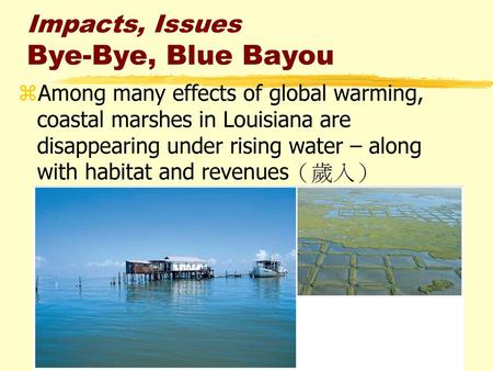 Impacts, Issues Bye-Bye, Blue Bayou