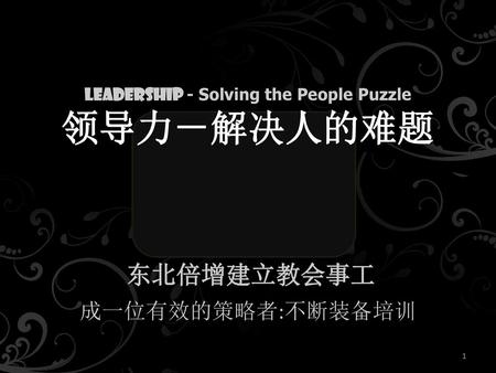 Leadership - Solving the People Puzzle