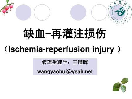 缺血-再灌注损伤 （Ischemia-reperfusion injury ） 病理生理学：王曜晖 wangyaohui@yeah.net.