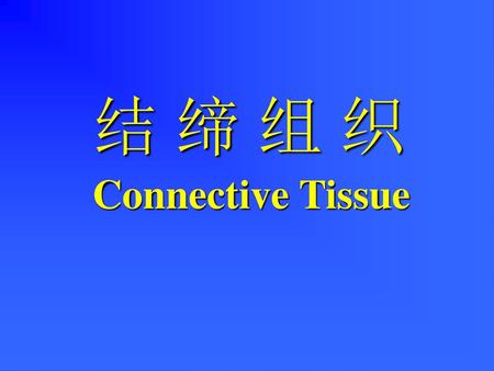 结 缔 组 织 Connective Tissue.
