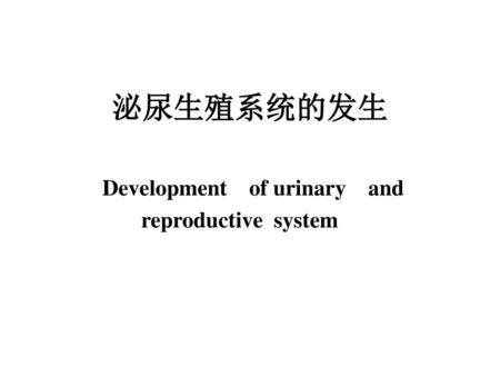 泌尿生殖系统的发生 Development of urinary and reproductive system.