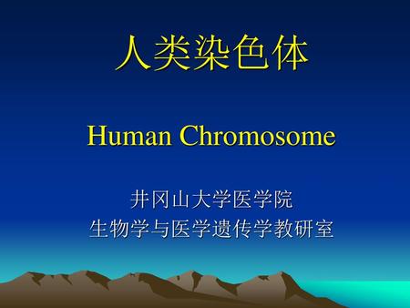 人类染色体 Human Chromosome