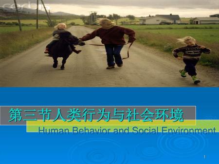 Human Behavior and Social Environment