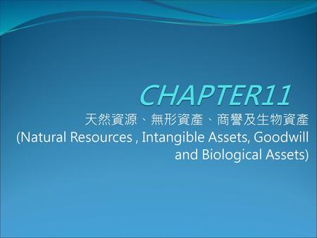 CHAPTER11 天然資源、無形資產、商譽及生物資產