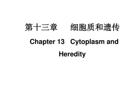 第十三章 细胞质和遗传 Chapter 13 Cytoplasm and Heredity