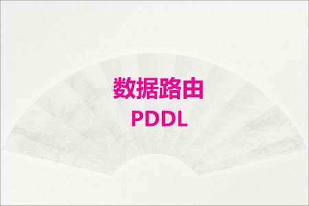 2013/12/27 数据路由 PDDL.