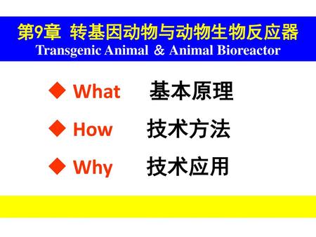 第9章 转基因动物与动物生物反应器 Transgenic Animal ＆ Animal Bioreactor