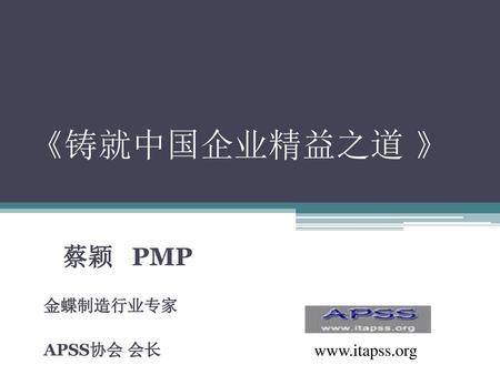 蔡颖 PMP 金蝶制造行业专家 APSS协会 会长