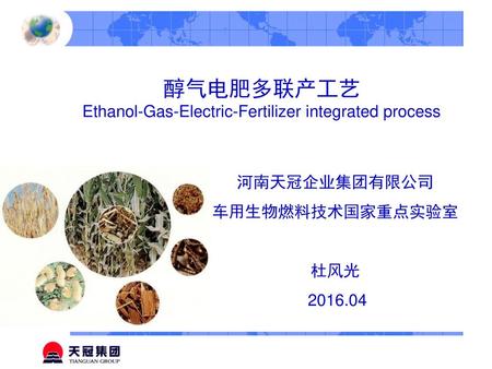Ethanol-Gas-Electric-Fertilizer integrated process