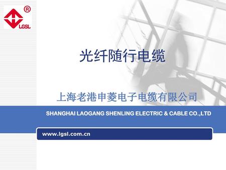 上海老港申菱电子电缆有限公司 SHANGHAI LAOGANG SHENLING ELECTRIC & CABLE CO.,LTD