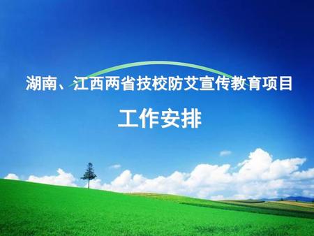 湖南、江西两省技校防艾宣传教育项目 工作安排.