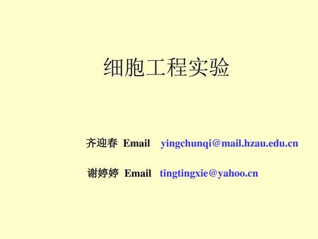 细胞工程实验 齐迎春 Email yingchunqi@mail.hzau.edu.cn 谢婷婷 Email tingtingxie@yahoo.cn.